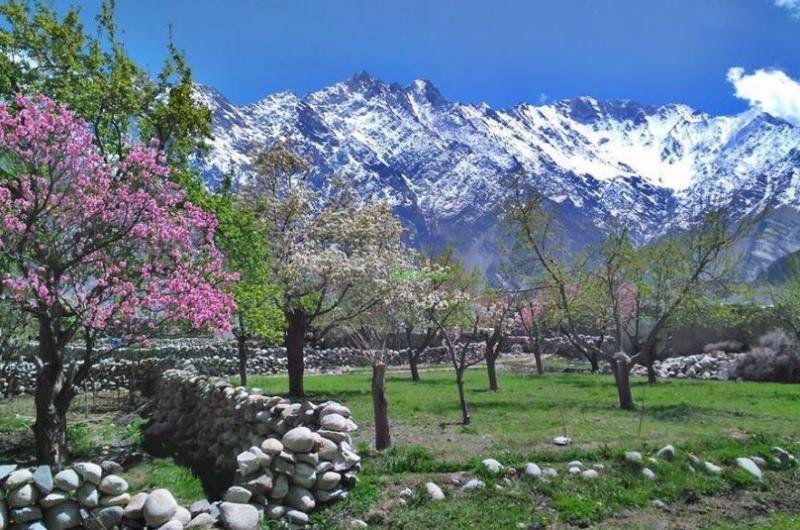 10 Days Blossom Tour To Hunza