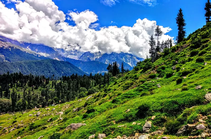 3 Days 2 Nights Deluxe Tour package to Kalam Swat