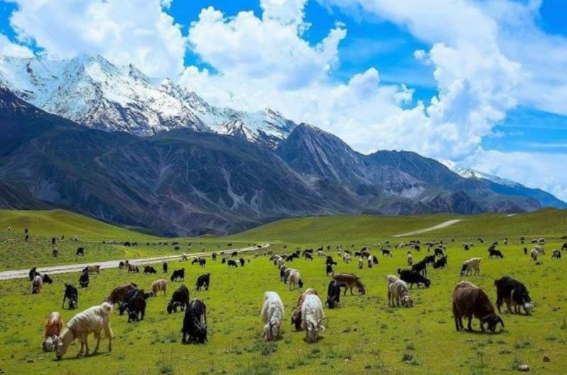 7 Days Tour to Chitral